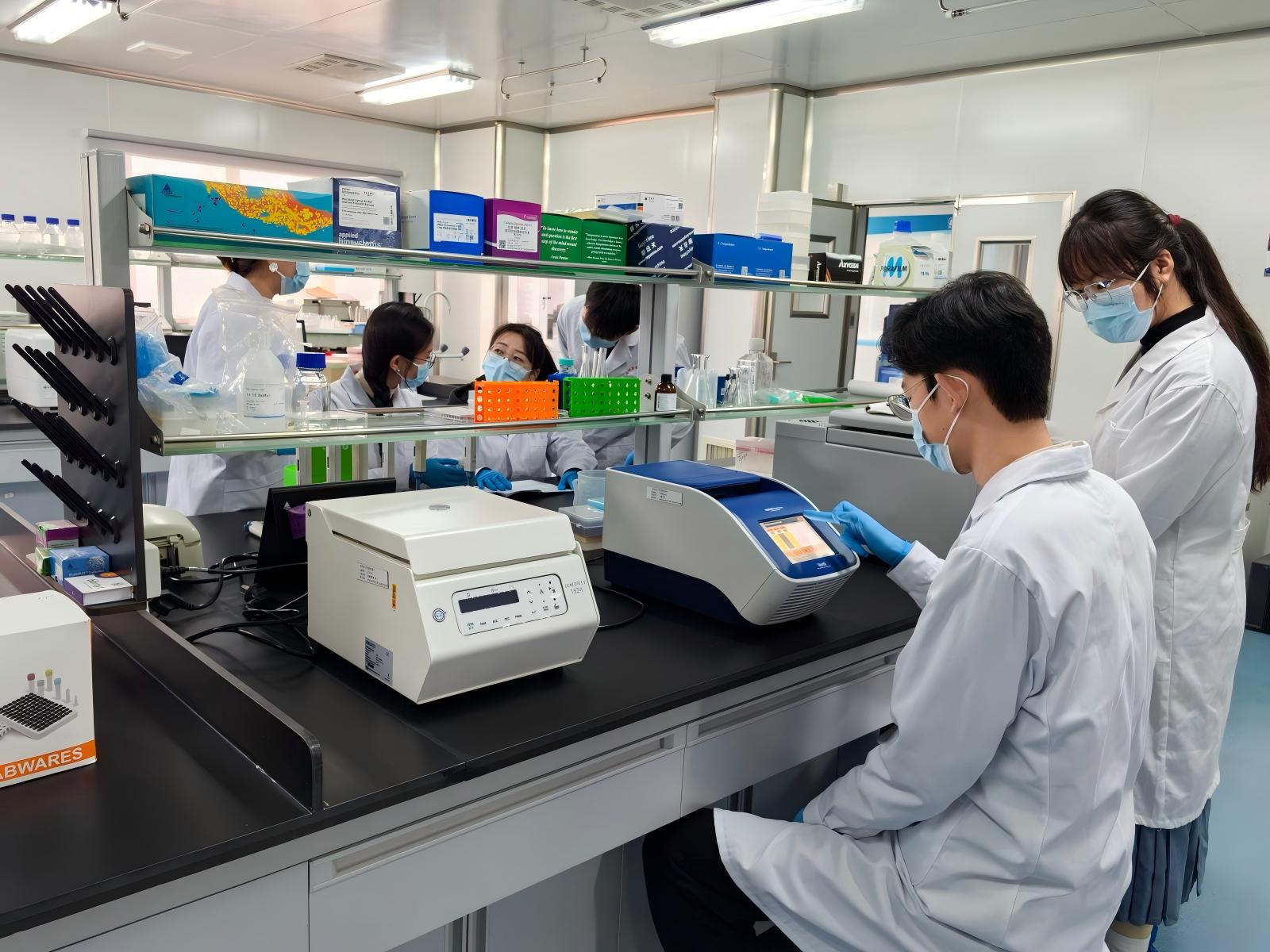 Technical Authority & Quality